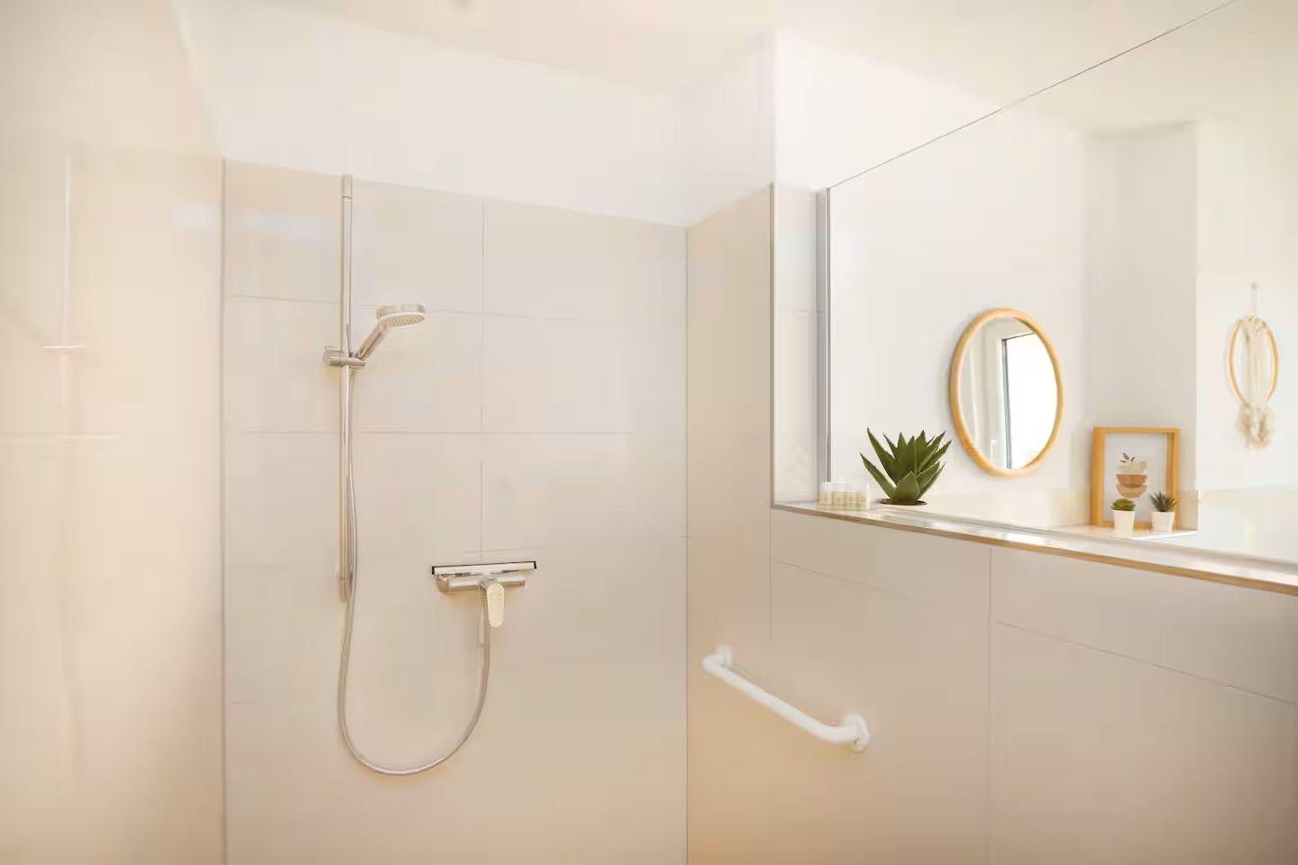 Dusche mit Handbrause, Spiegelschrank und Pflanzen auf der Arbeitsfläche.