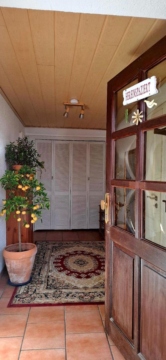 Eingangsbereich mit Holztür, Teppich und Zitronenbaum. Hinter der Tür steht ein Schrank.
