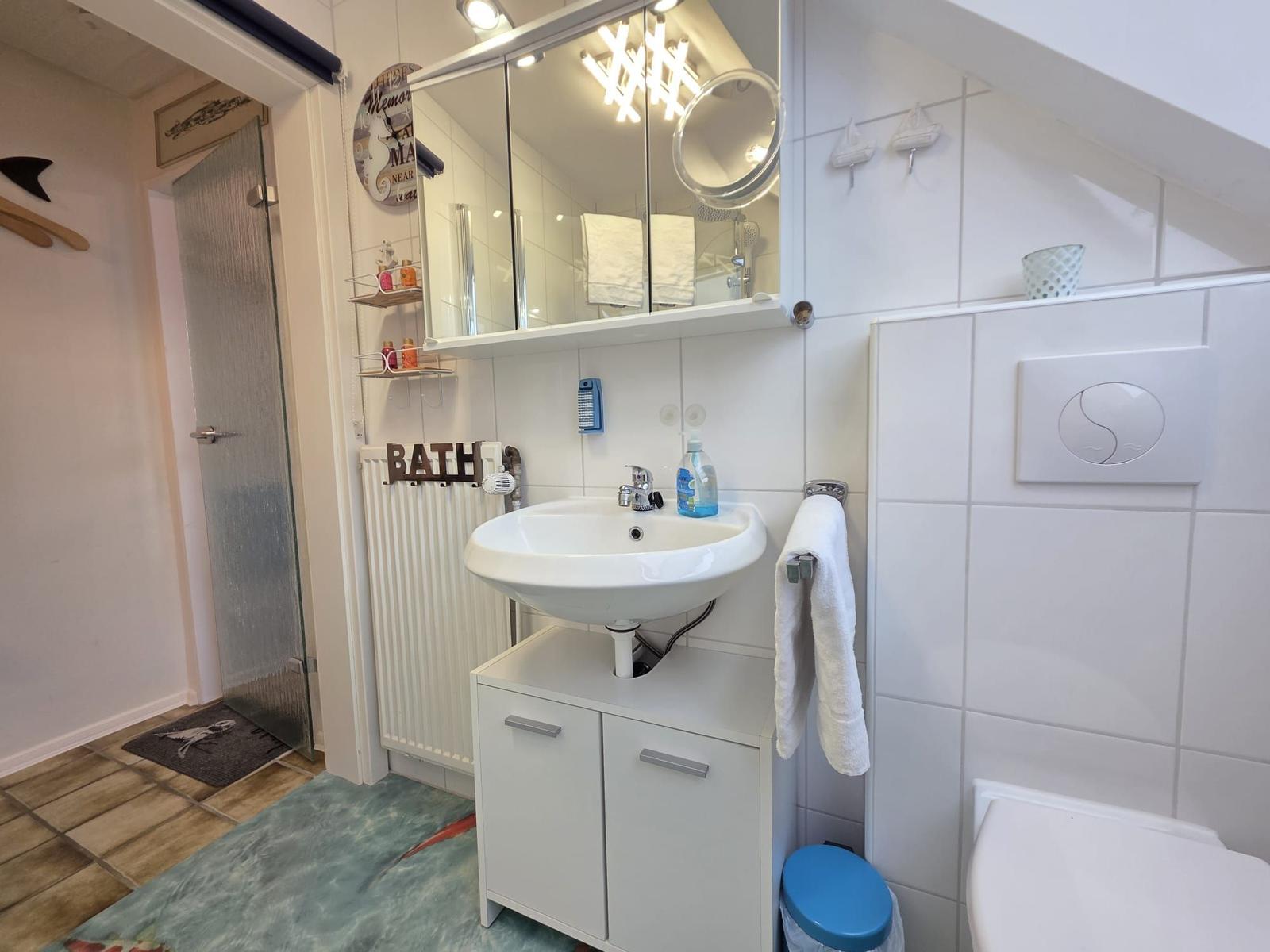 Bathroom with sink, mirror, shower, and toilet.