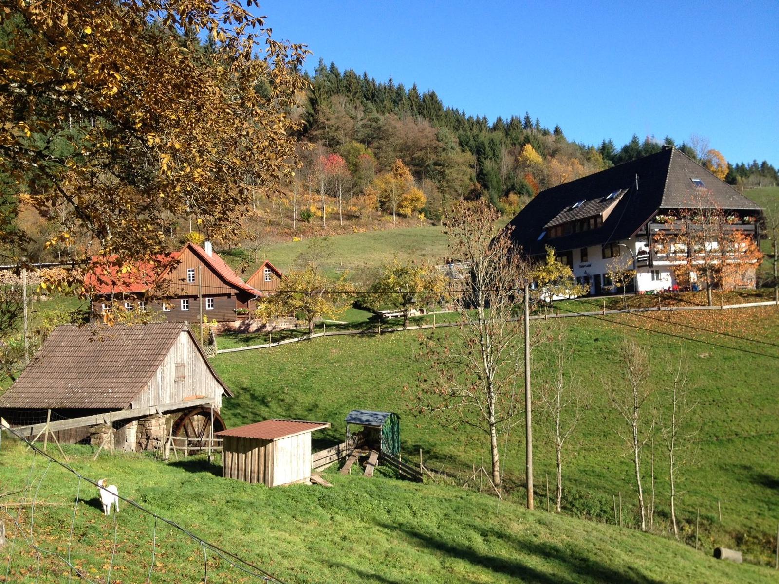 Haus mit Holzveranda, umgeben von grünen Wiesen und Herbstbäumen.
