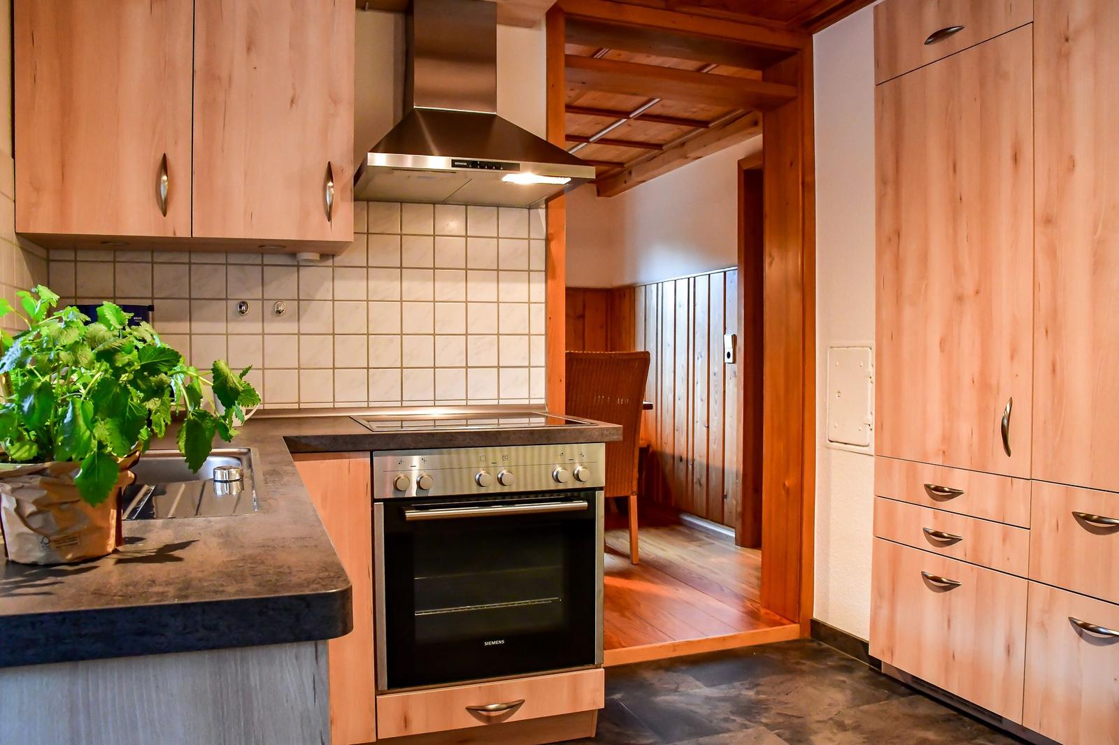 Küche mit Holzschränken, Edelstahlherd und Pflanze auf Arbeitsfläche.