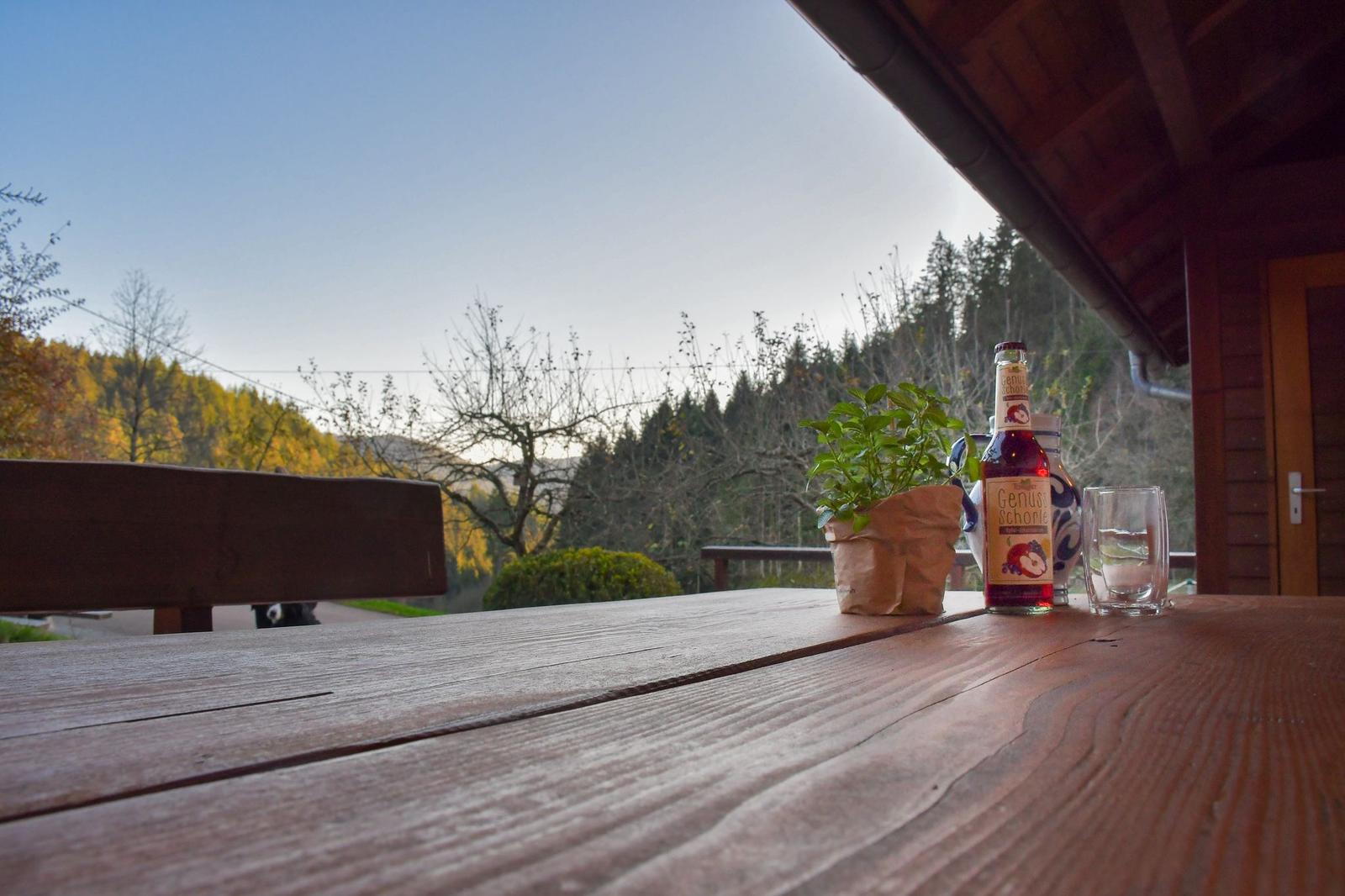 Holztisch mit Pflanze, Flasche und Glas auf Terrasse mit Waldblick