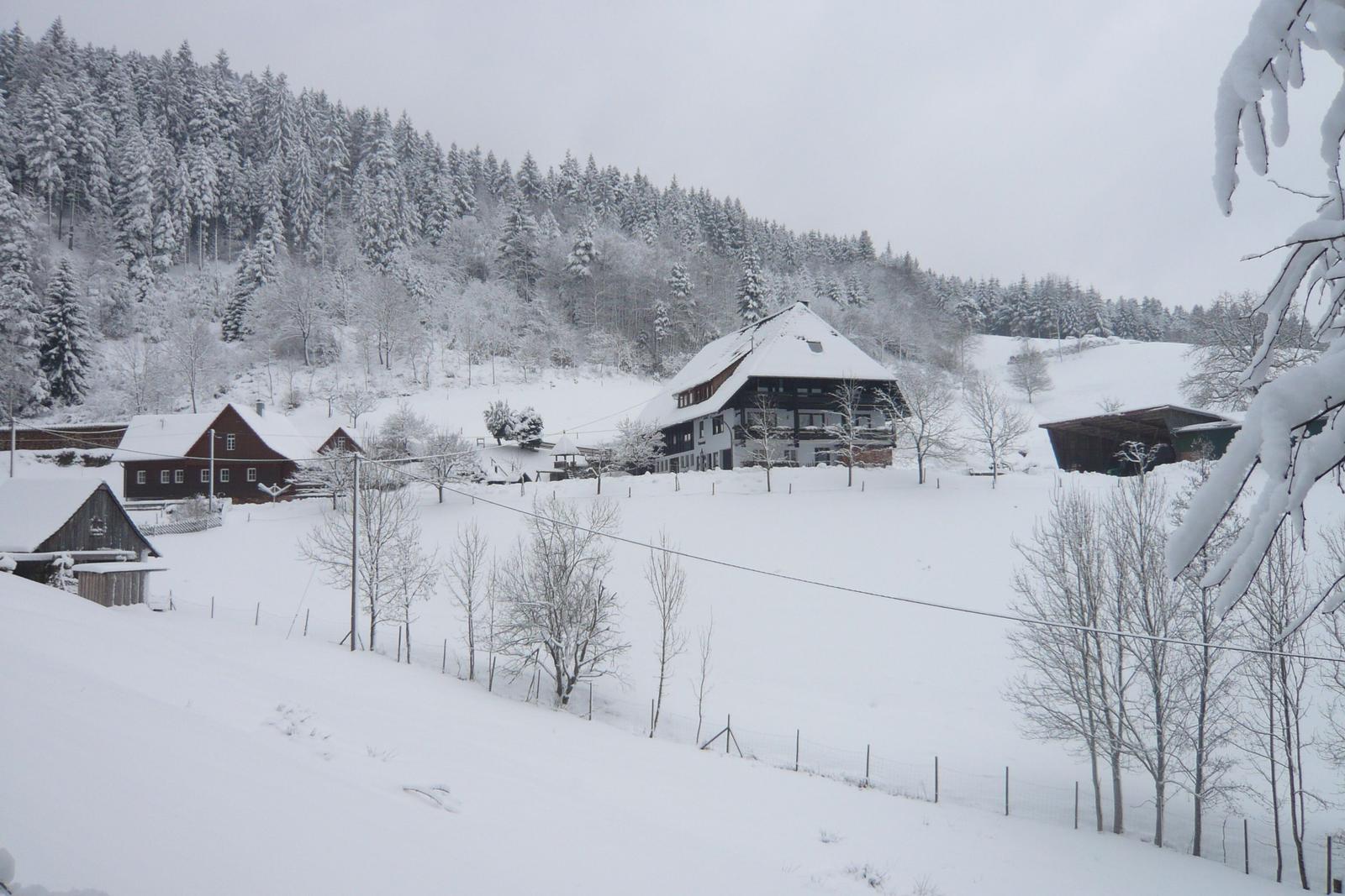 Schneebedeckte Häuser in einer ländlichen Winterlandschaft mit Wald im Hintergrund.