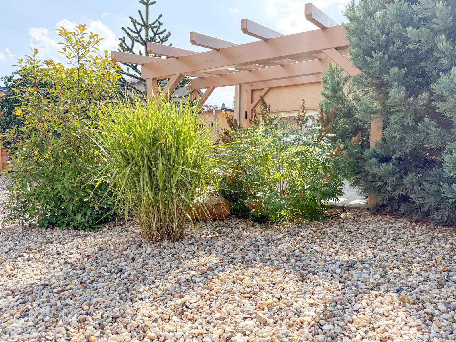 Garten mit Steinmulch, Pergola und verschiedenen Sträuchern.