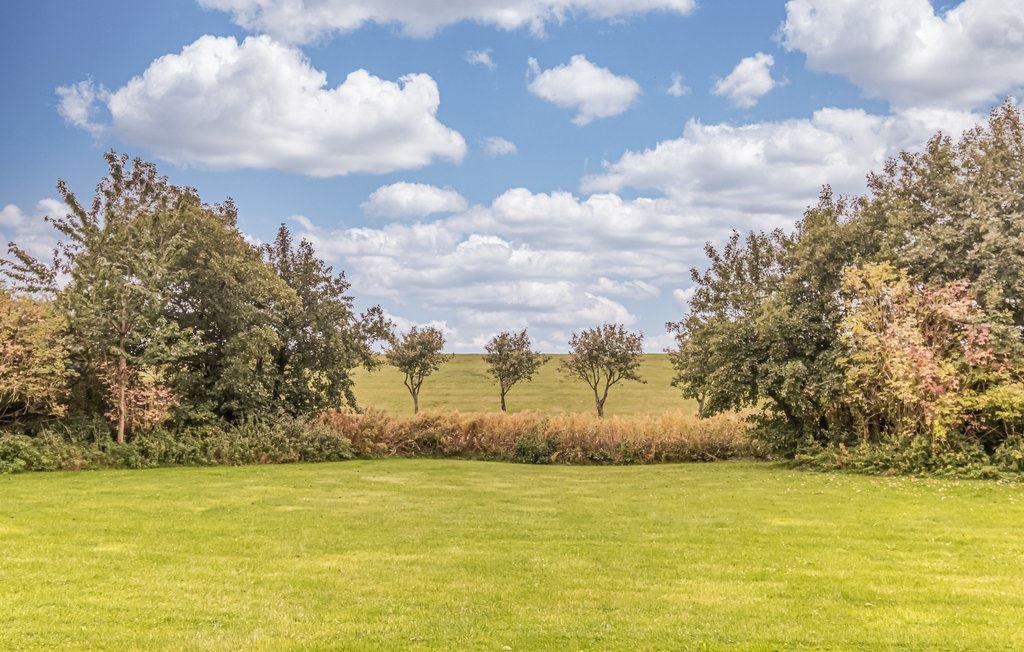 Grüner Rasenbereich mit Bäumen und einem Feld unter blauem Himmel mit weißen Wolken.