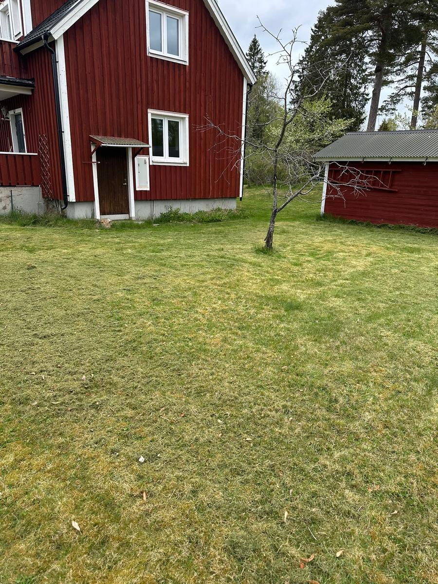 Rasenfläche Garten