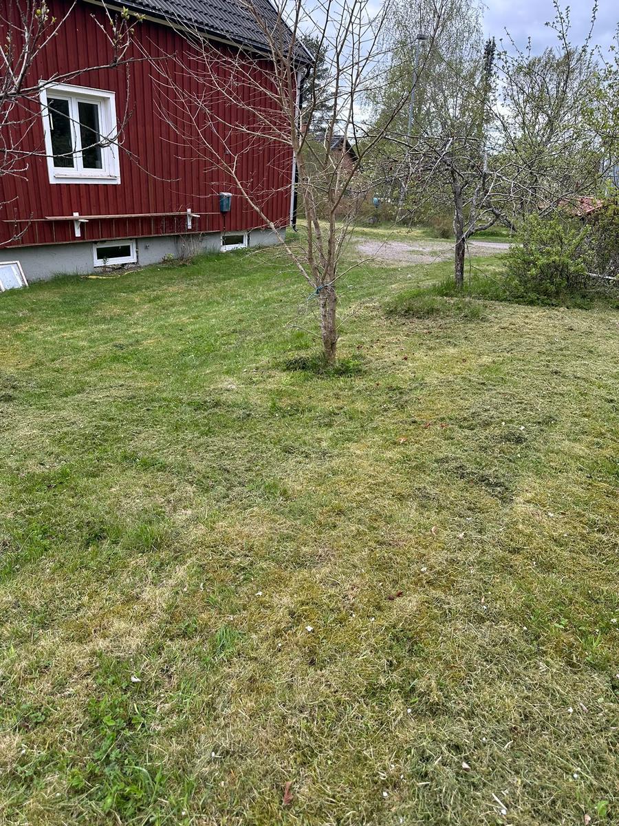 Roter Holzhaus mit Rasen und Bäumen im Hintergrund.