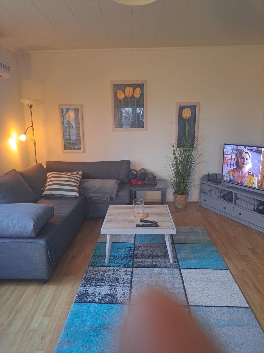 Wohnzimmer mit Schlafsofa