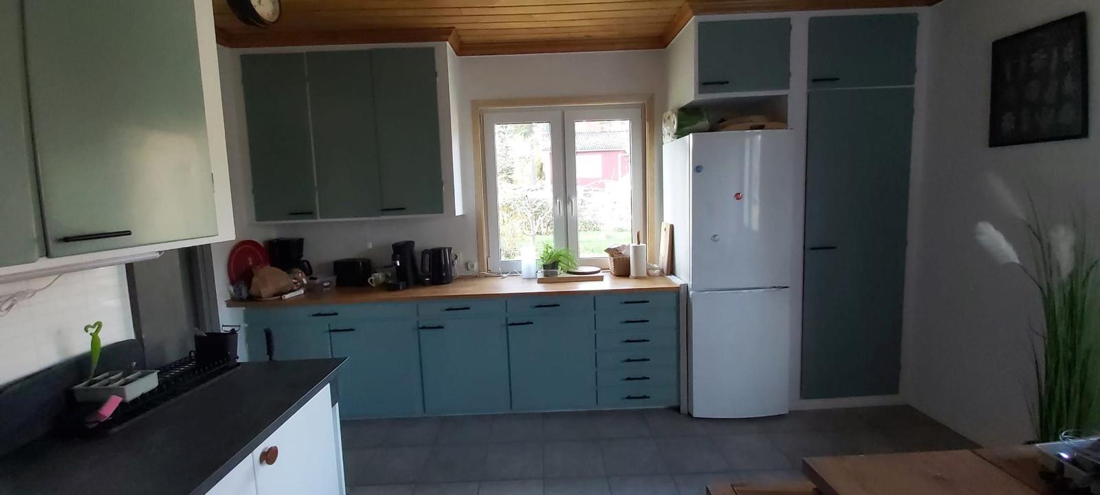 Küche mit grünen Schränken, Fenster und Kühlschrank