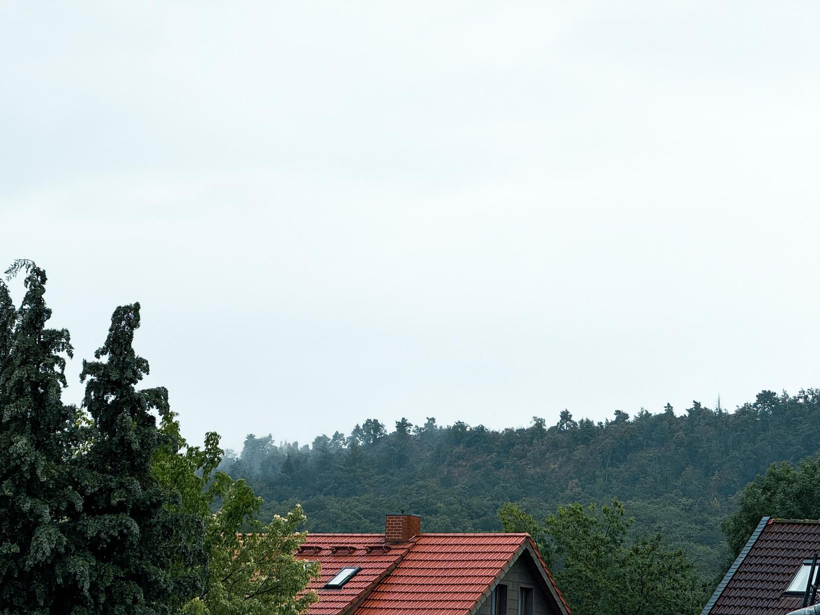 Roter Dachfirst mit Schornstein und Dachfenster vor Waldhintergrund.