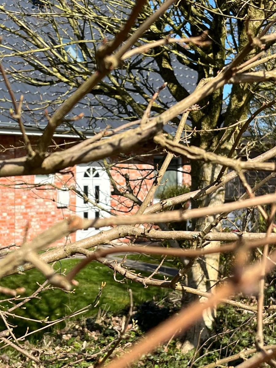 Unsere Doppelhaushälfte