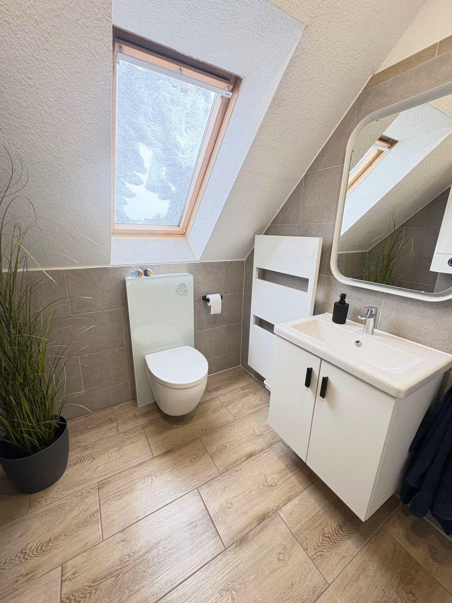 Bathroom with sloped ceiling, toilet, sink, and plant.