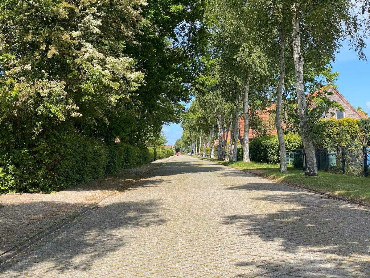 Paved path with trees and houses in a quiet residential area.