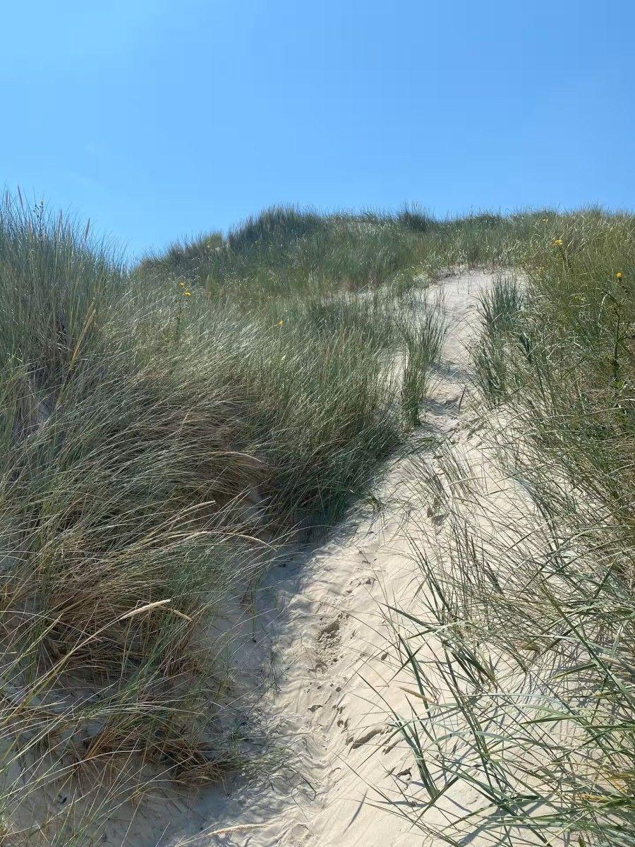 Sandy path through grass leading to dune slope under blue sky