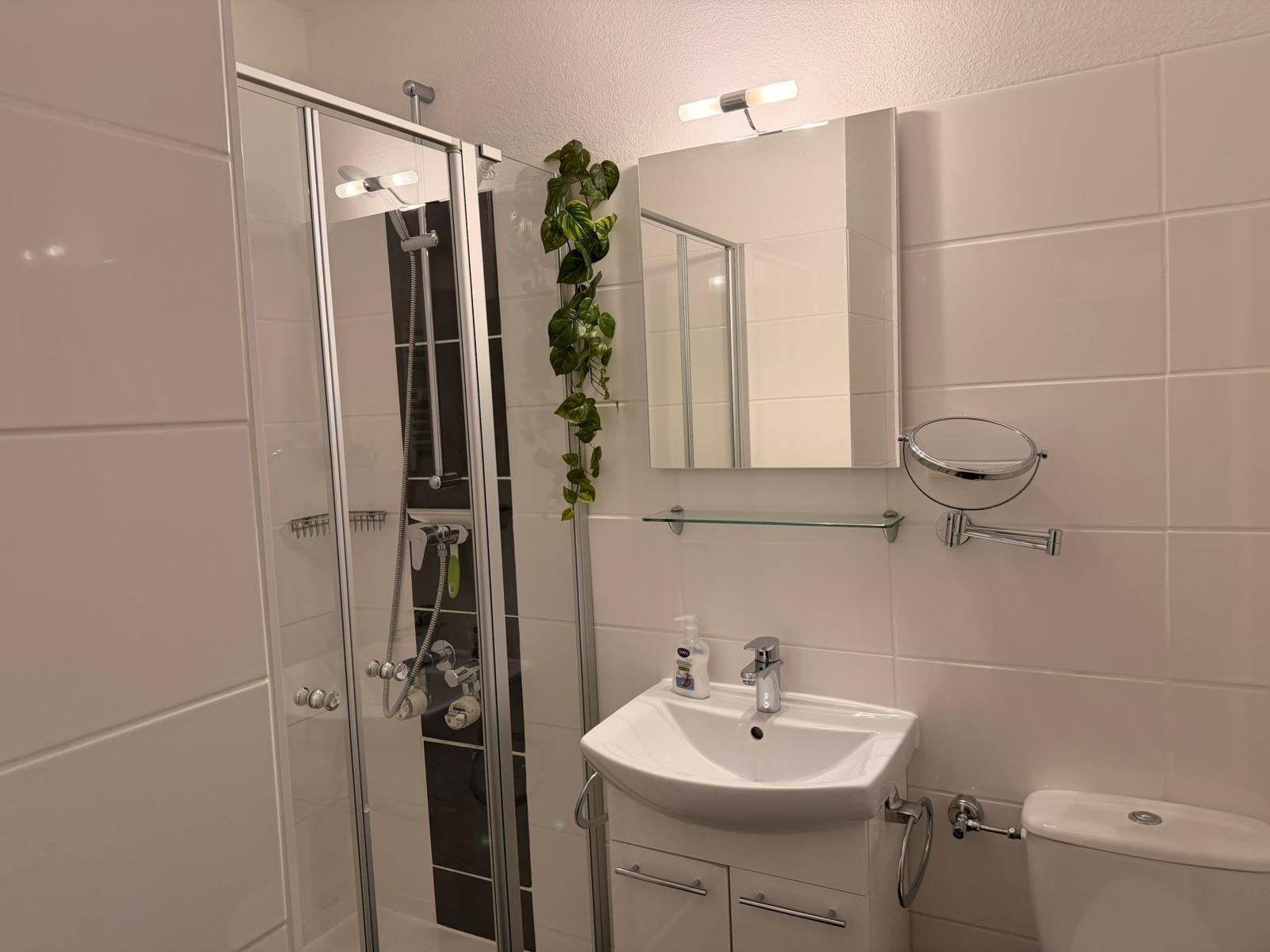 Badezimmer mit Dusche, Waschbecken und Toilette. Pflanze an der Wand.