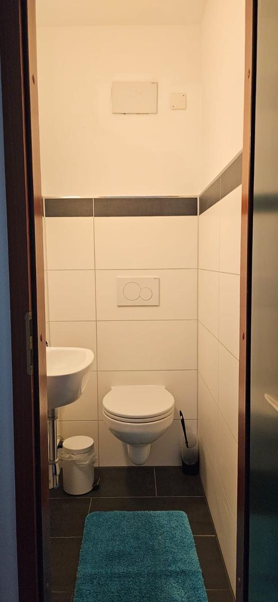 Badezimmer mit Toilette, Waschbecken und blauem Teppich auf dunklem Boden.