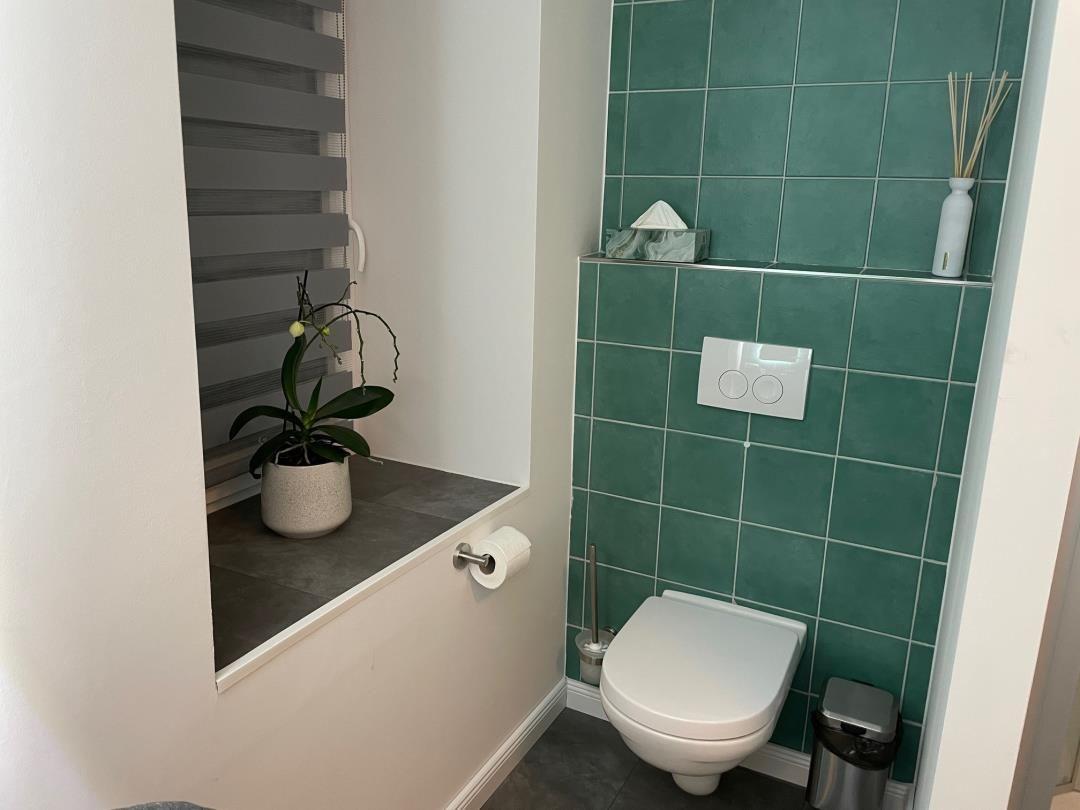 Toilettenbereich mit grüner Fliesenwand, Pflanze und Fenster mit Jalousie.
