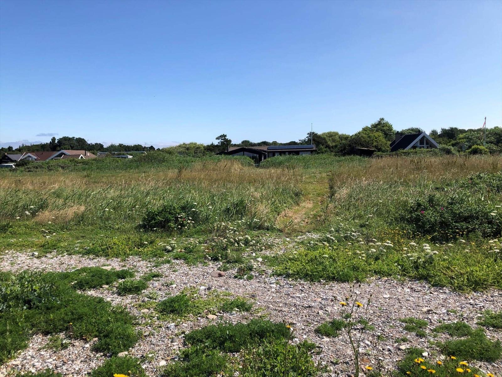Grasland mit Steinen und Häusern im Hintergrund unter blauem Himmel.