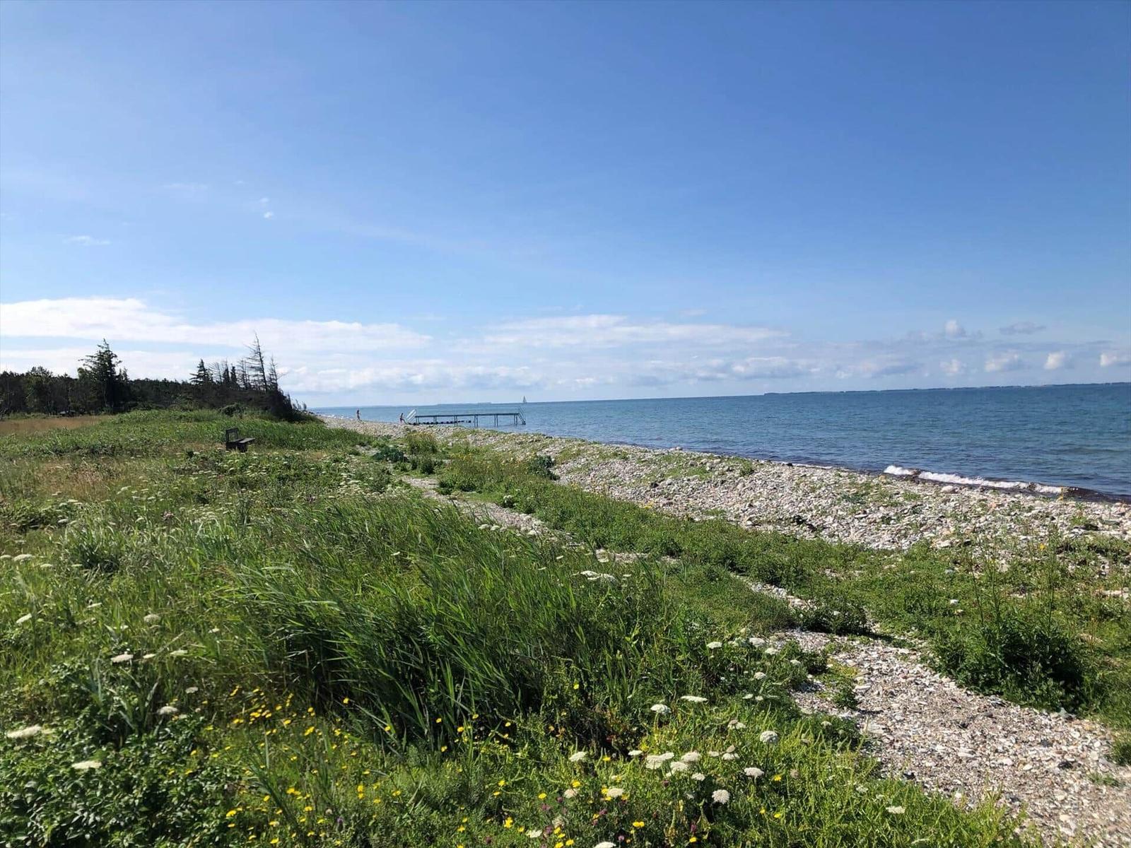 Strand mit Steinen und Gras, Blick auf ruhiges Wasser und Himmel.