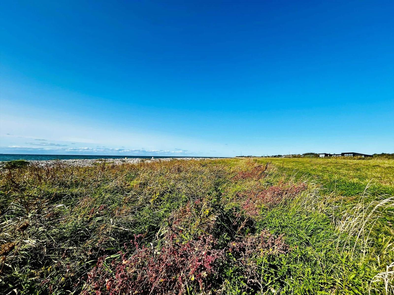 Grünes Grasfeld mit Blick auf das Meer und einen klaren blauen Himmel.