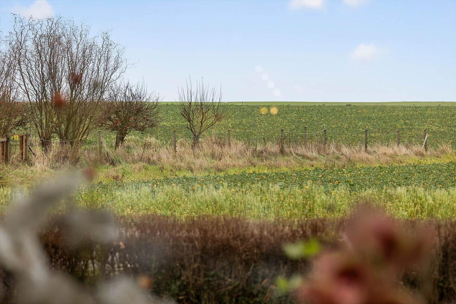 Weitläufiges Feld mit Bäumen und Hedges unter blauem Himmel.