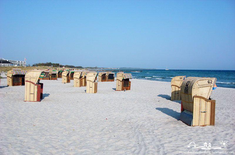 Beach with beach chairs, sand, and sea under blue sky