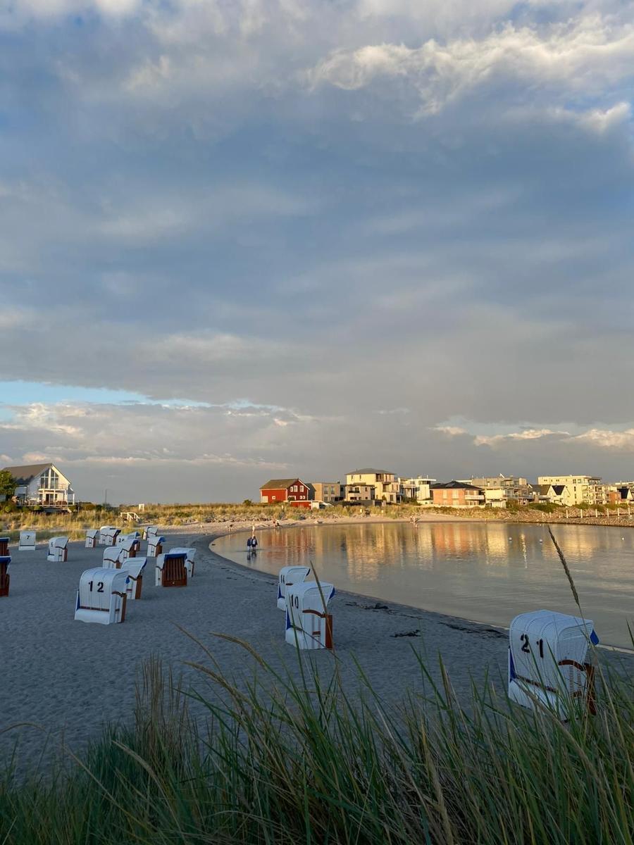 Beach with beach chairs and houses by the water. Sunlight reflects on the water surface.