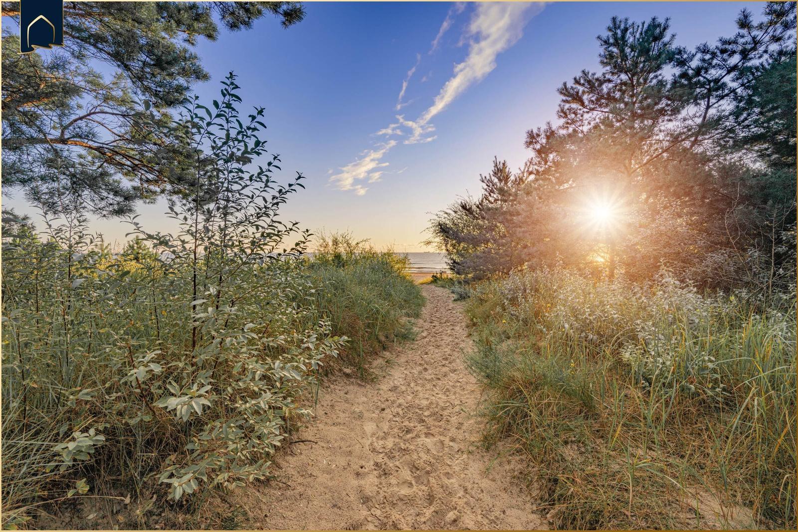 Wanderweg durch Gras und Bäume zum Strand bei Sonnenuntergang.