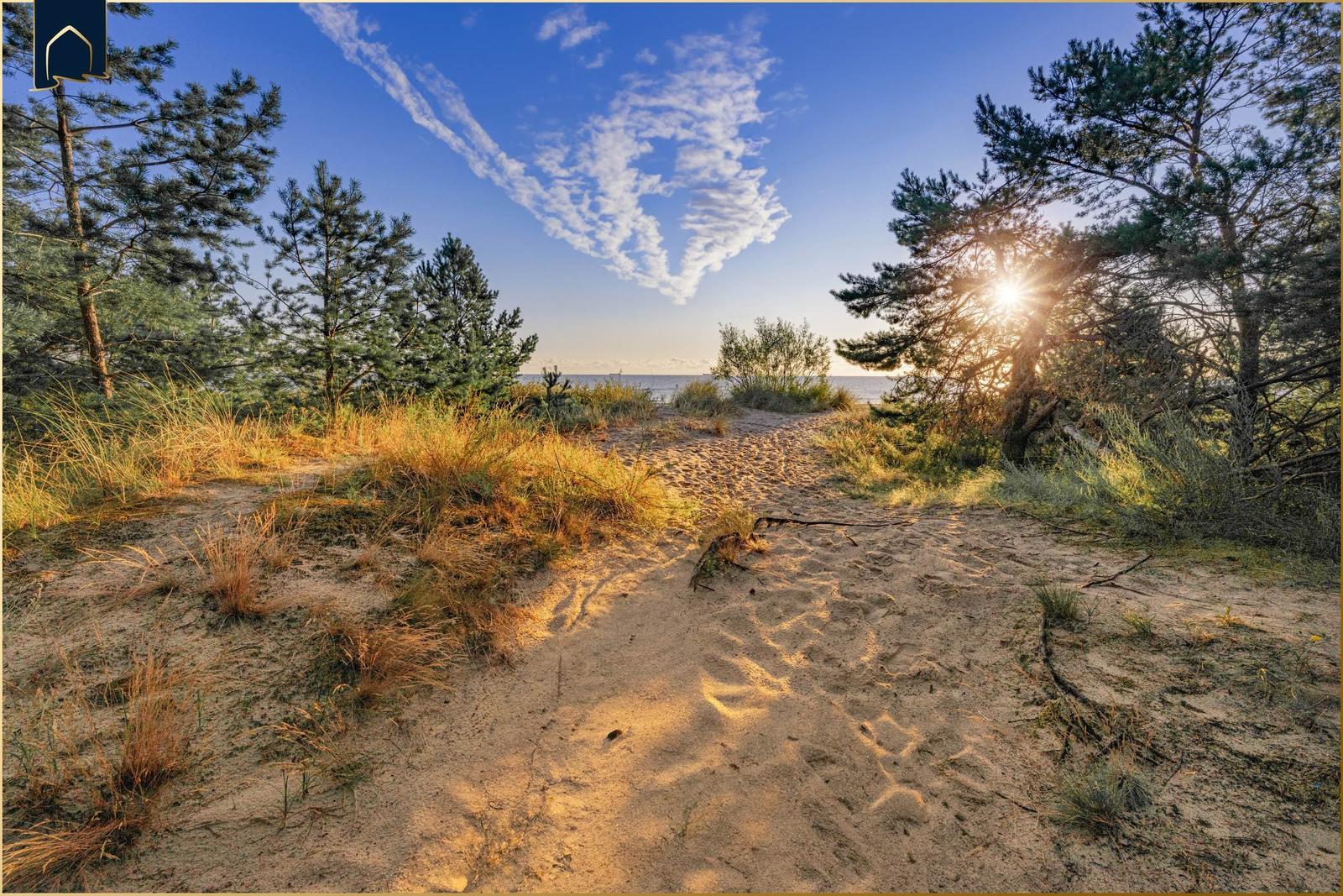 Sandpfad durch Dünen mit Blick auf Meer und Sonne zwischen Bäumen
