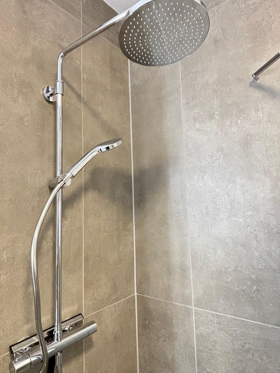 Shower with rain showerhead and handheld shower