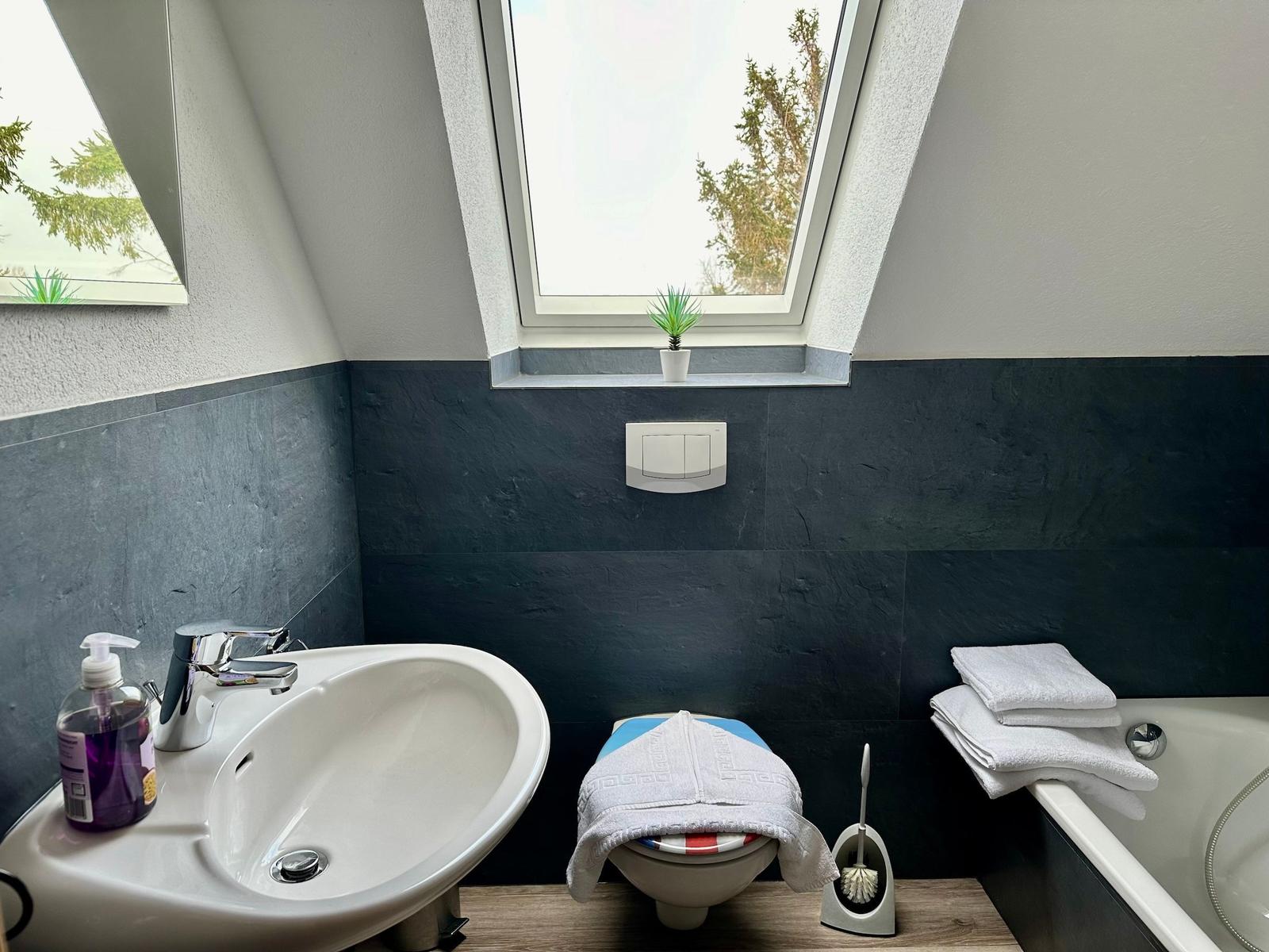 Badezimmer mit Duschbad, Waschbecken und Fenster mit Pflanze.