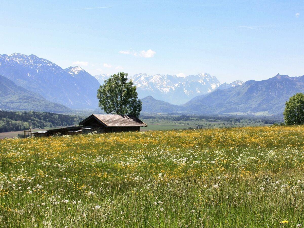 Hütte in blühendem Feld mit Bergpanorama im Hintergrund.
