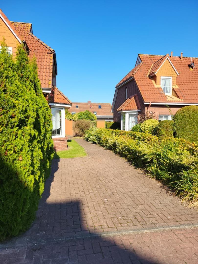 Paved path between two houses with red roof and green hedges under blue sky.