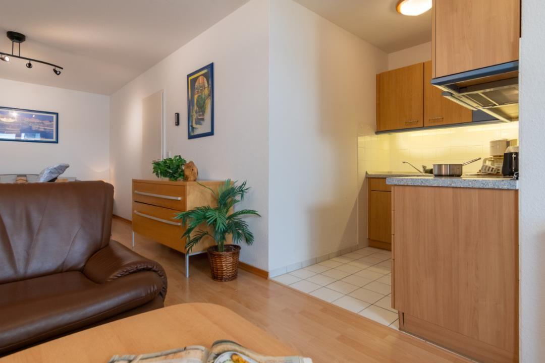 Wohnbereich mit Sofa, Küchenzeile und Pflanzen