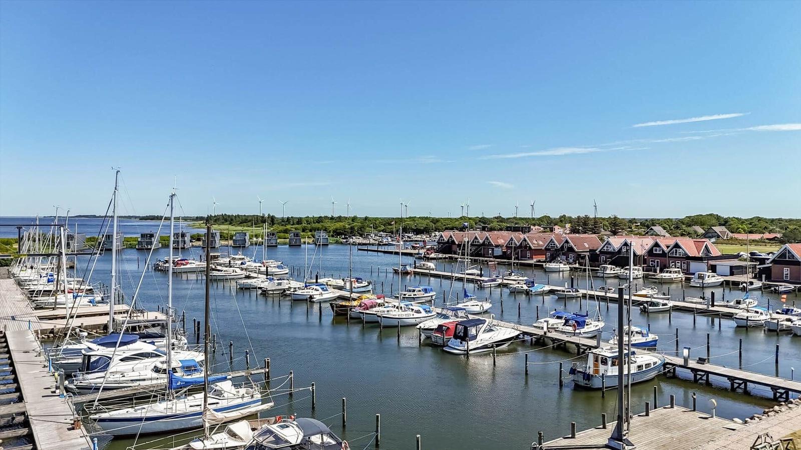 Harbor with boats and red houses along the coast