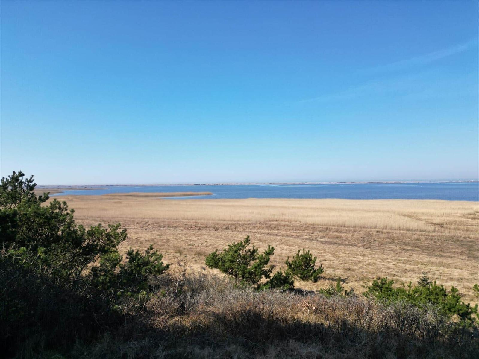 Weitläufiger Blick auf Fluss und trockene Wiesen mit grünen Sträuchern im Vordergrund.