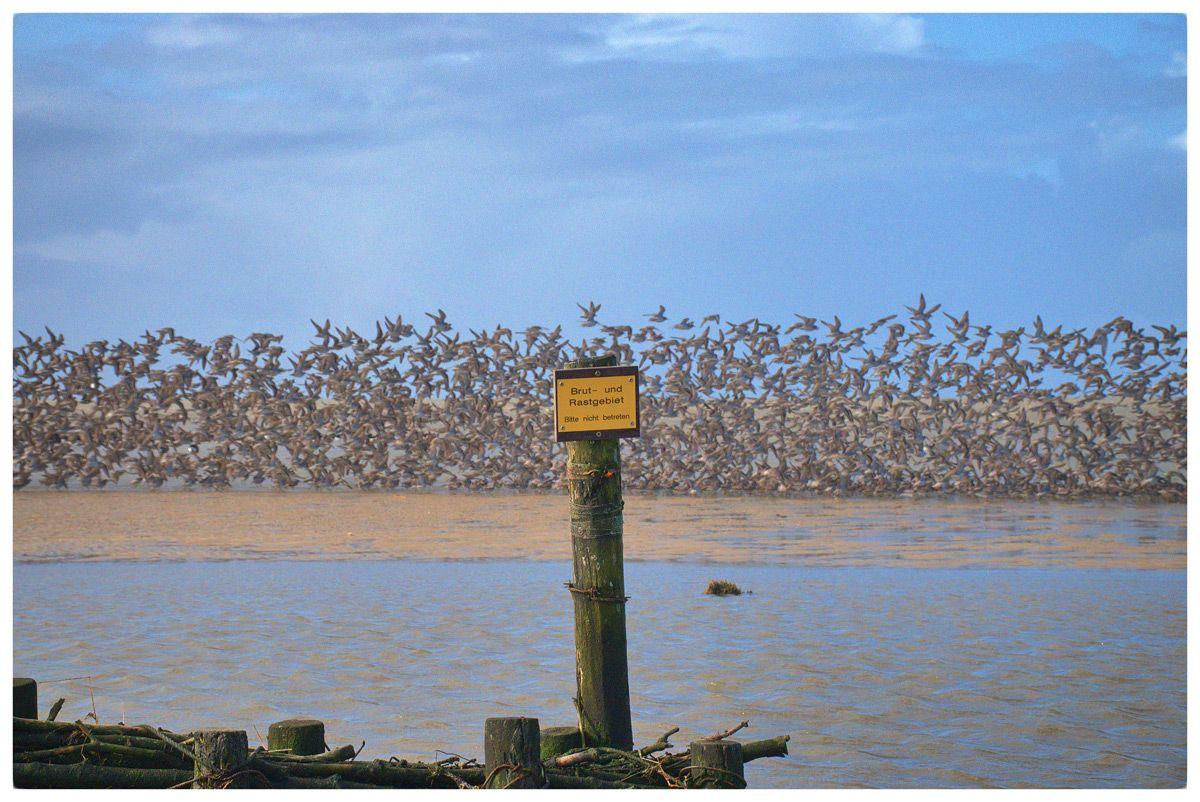 200 Meter vom Haus entfernt.