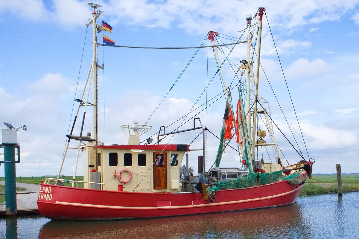 Frische Krabben gibt es am Hafen Strucklahnungshörn - 2,7 km vom Ferienhaus entfernt.