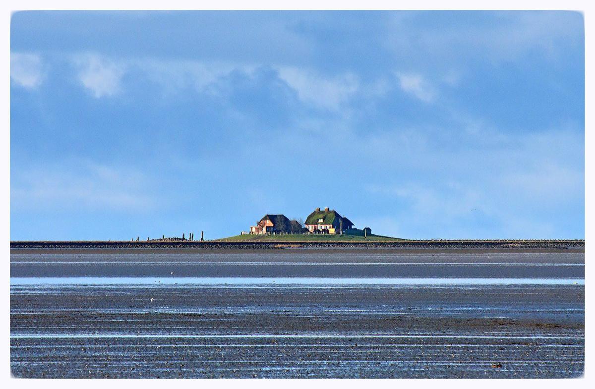 Haus auf Hügel über Wattlandschaft mit blauem Himmel