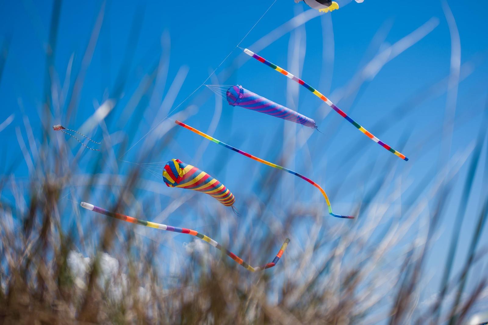 Farbenfrohe Windräder schweben im blauen Himmel über hohes Gras.
