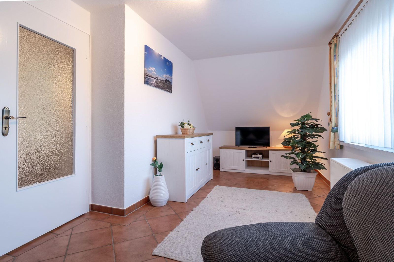 Wohnraum mit TV, Pflanzen und Tür. Terrakottaboden und weißer Schrank.