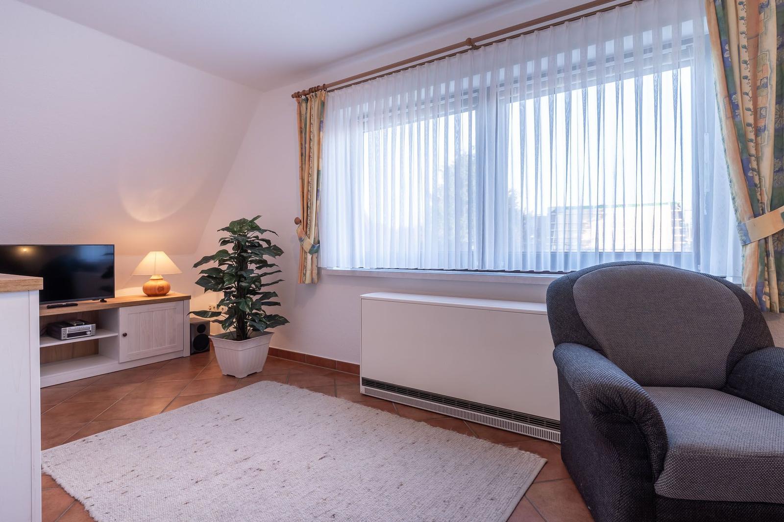 Wohnzimmer mit Sessel, Fernseher, Pflanze und Fenster mit Vorhängen.