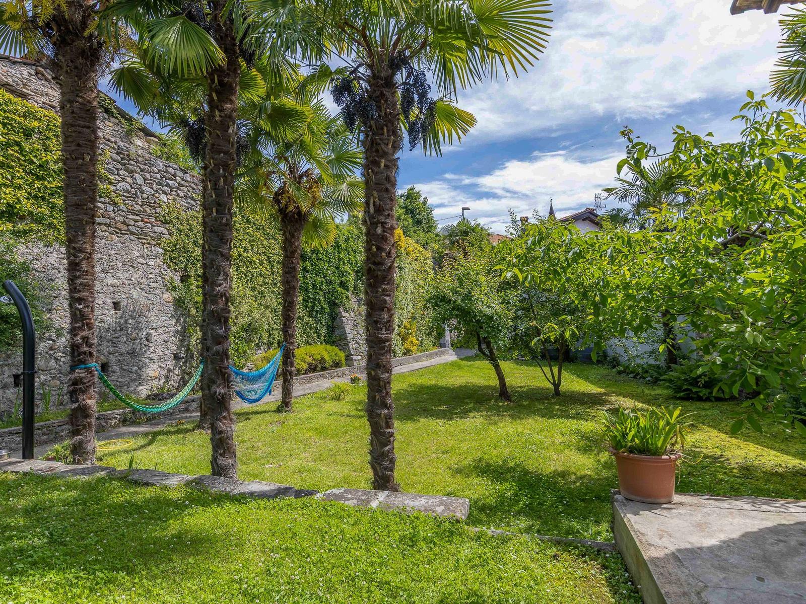 Garten mit Palmen, Schaukel und grünem Rasen. Steinmauer und Pflanzen im Hintergrund.