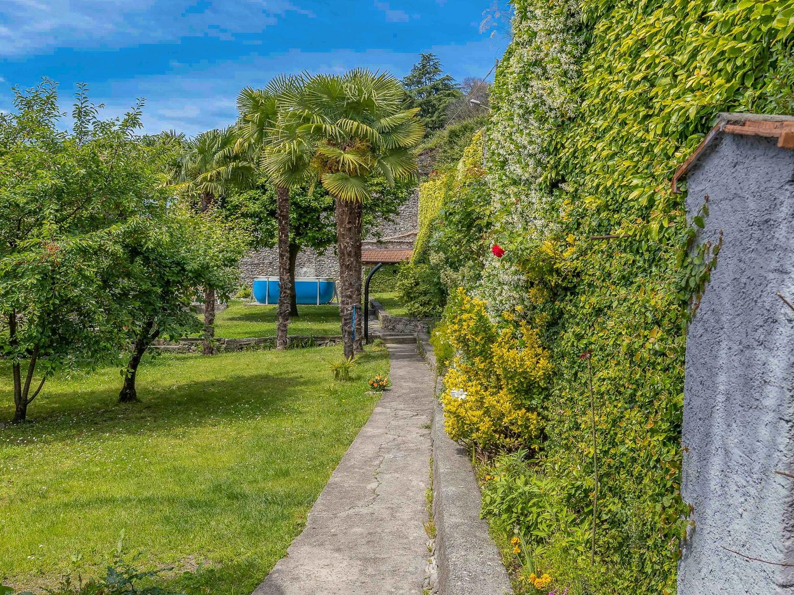 Pfad durch grünen Garten mit Palmen und blauem Pool. Wand mit Kletterpflanzen.