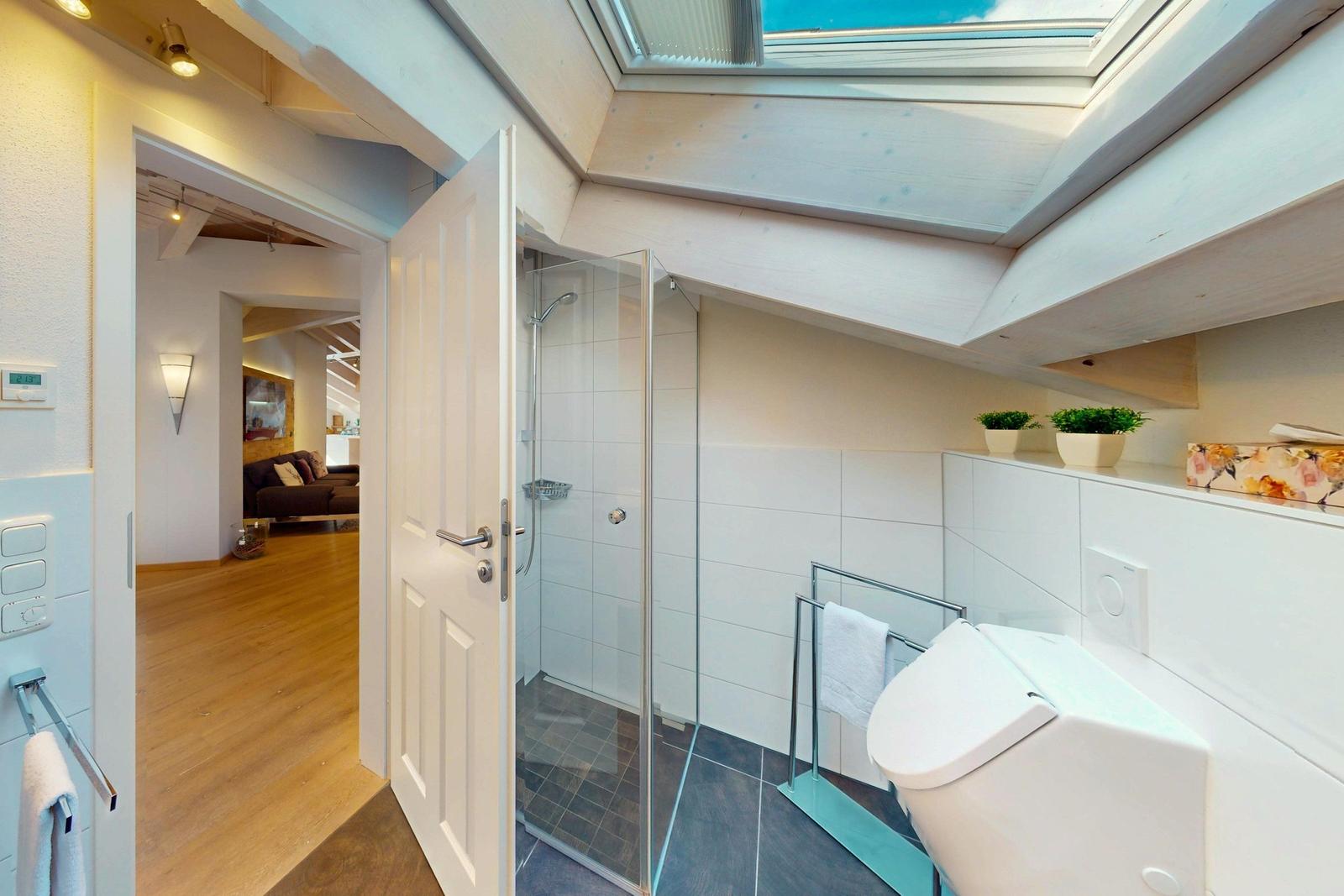 Badezimmer mit Dusche, Toilette und Dachfenster. Blick in Wohnbereich mit Sofa.