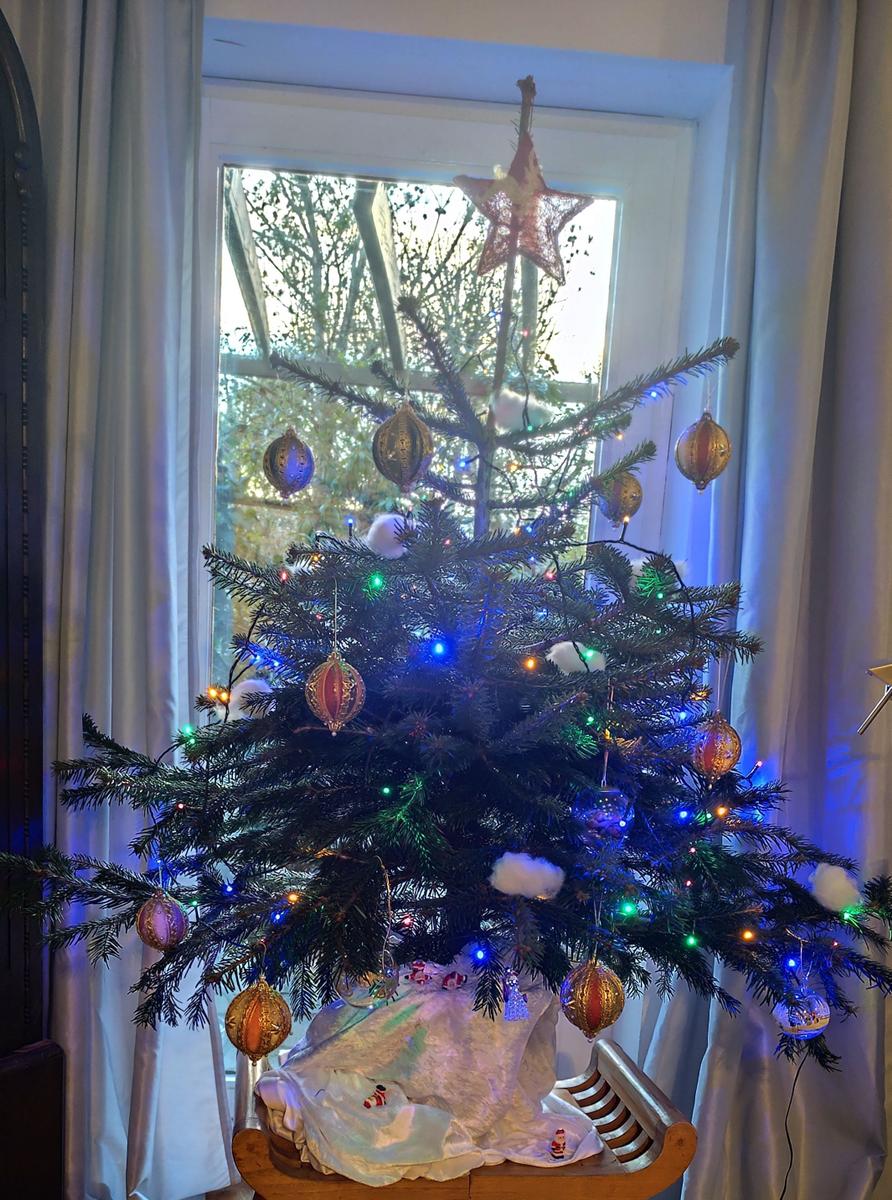 Weihnachtsdekoration: echter Baum