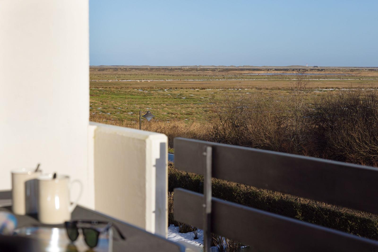 Blick von Balkon auf weites Grasland mit Bäumen und Ferne.