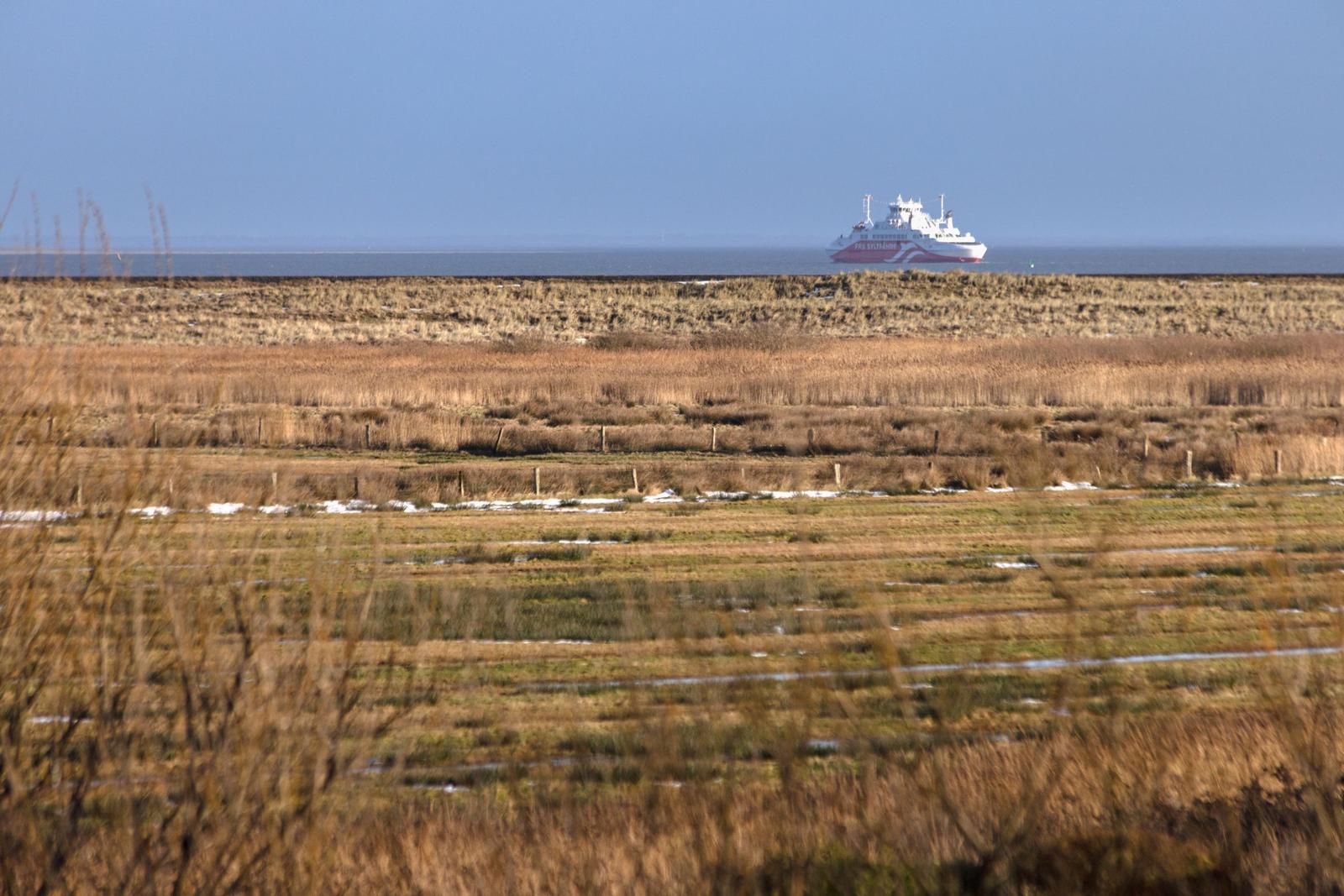 Ferries fährt über das Meer, umgeben von trockenem Grasland.