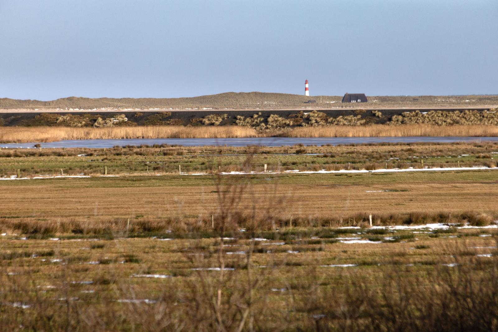 Weitläufige Landschaft mit Leuchtturm und Wasser im Hintergrund.
