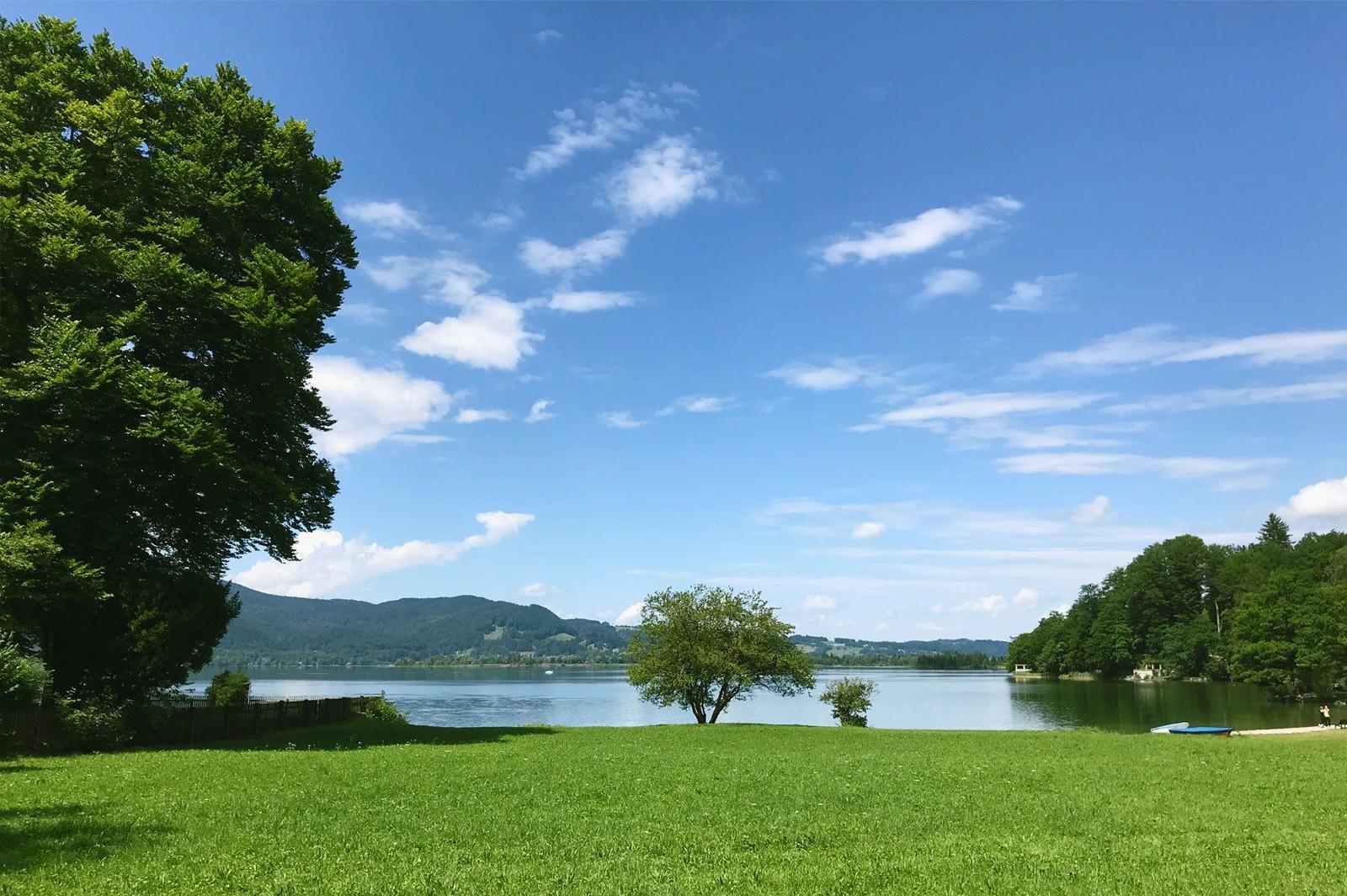 Grünes Gras am See mit Bäumen und Bergen im Hintergrund unter blauem Himmel.